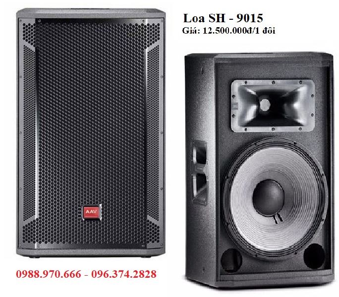 loa hội trường sân khấu chuyên nghiệp